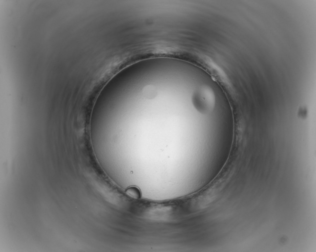 X0000090470257200707272304