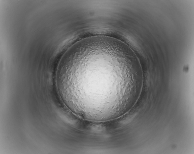 X0000090470258200707272304