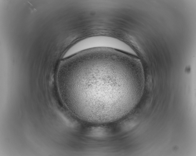 X0000090470259200707272304