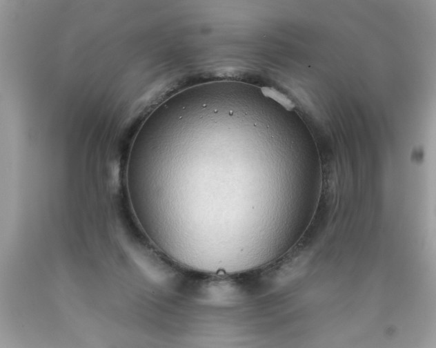 X0000090470262200707272304