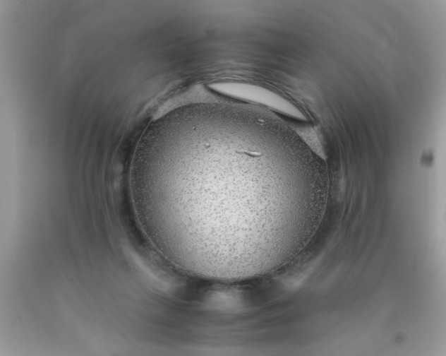 X0000090470263200707272304