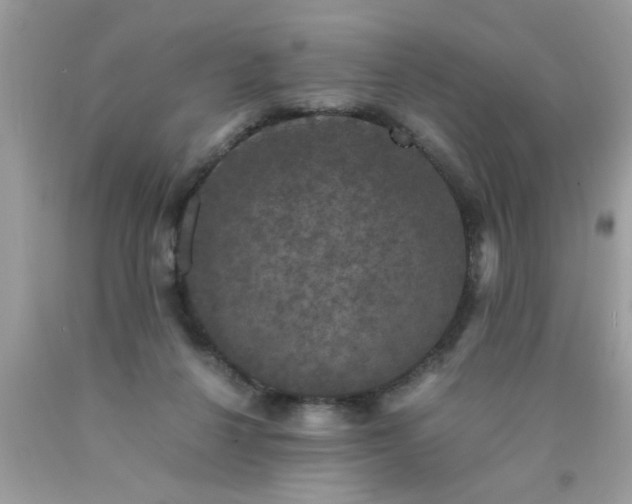 X0000090470264200707272304