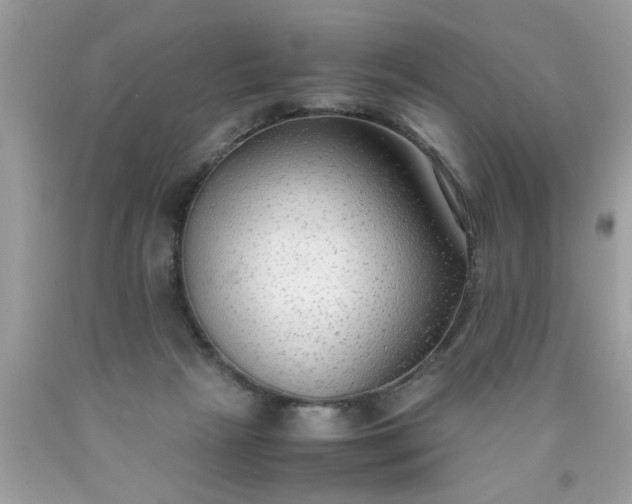 X0000090470265200707272304