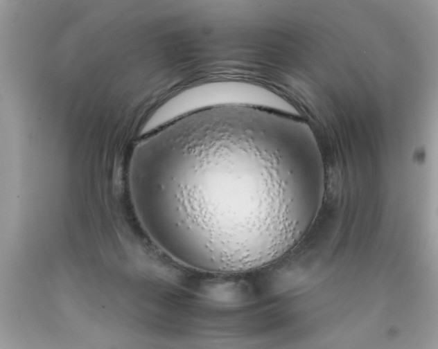 X0000090470267200707272304