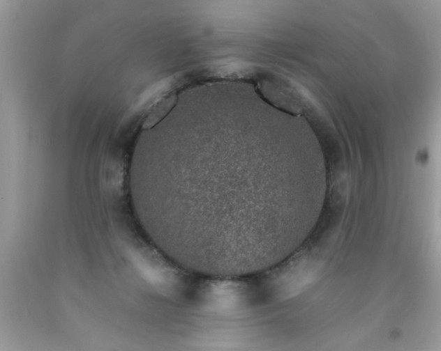 X0000090470268200707272304