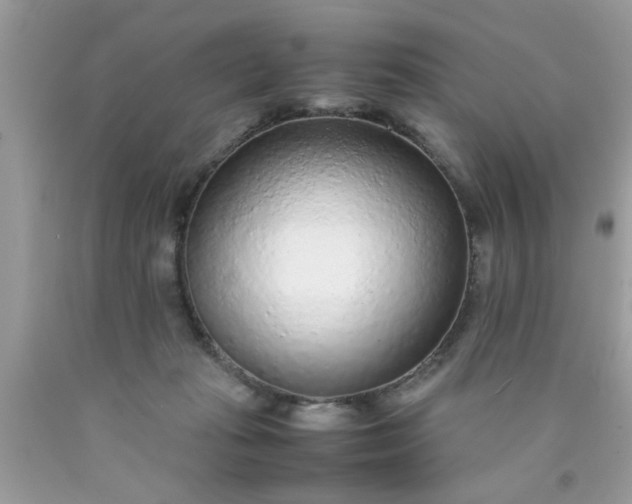 X0000090470269200707272304