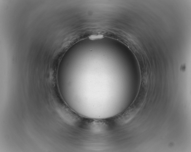 X0000090470270200707272304