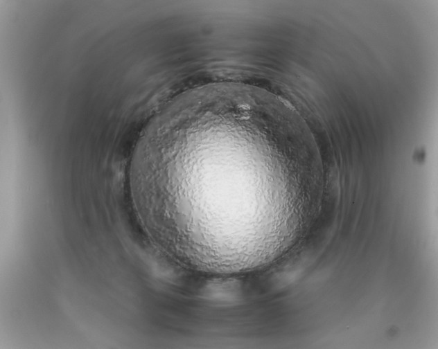 X0000090470271200707272304