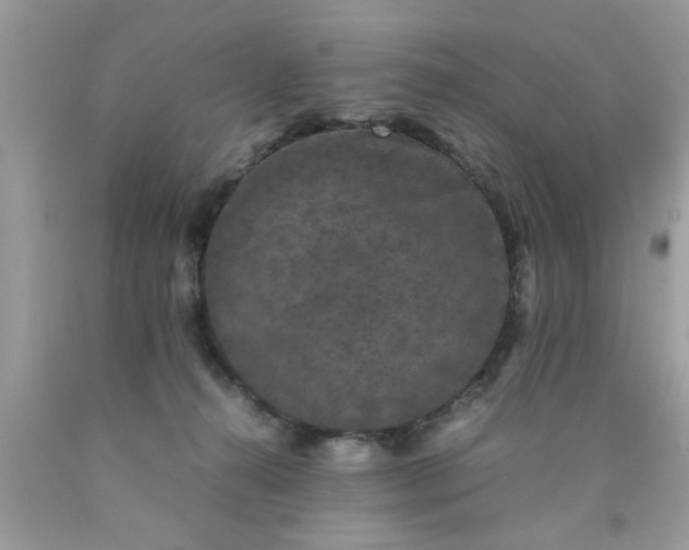 X0000090470272200707272304