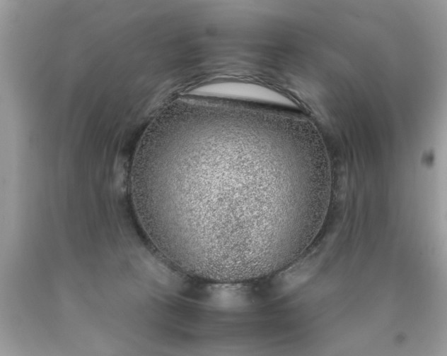 X0000090470273200707272304