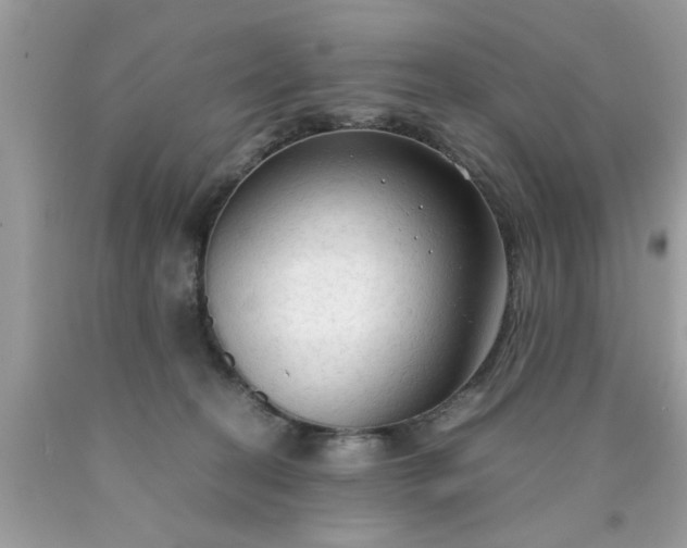 X0000090470274200707272304