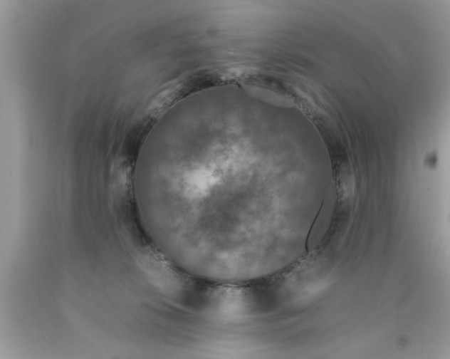 X0000090470276200707272304