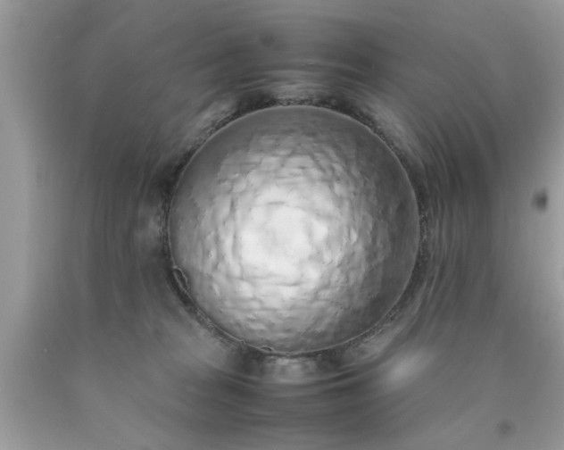 X0000090470277200707272304