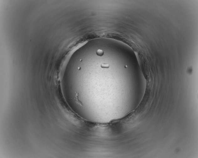 X0000090470280200707272304