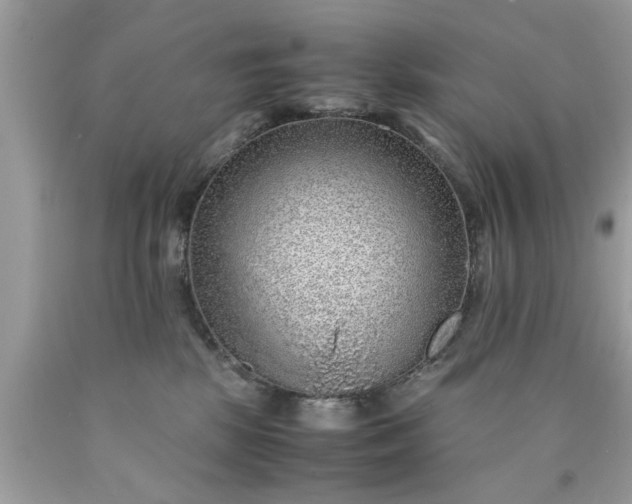 X0000090470281200707272304