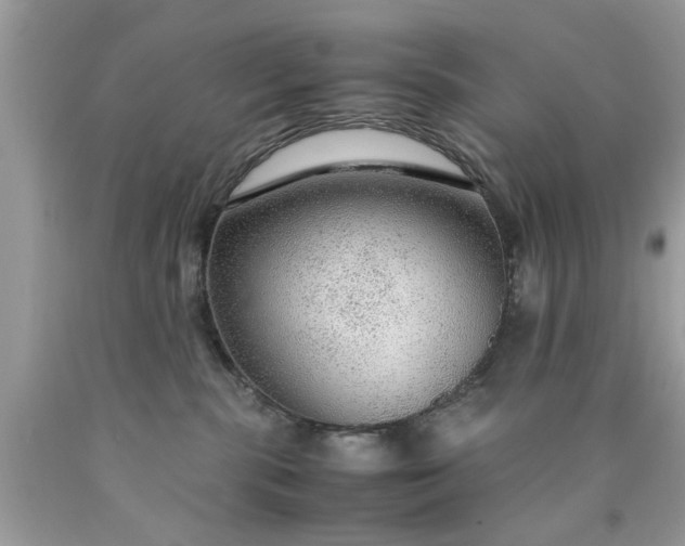 X0000090470283200707272305