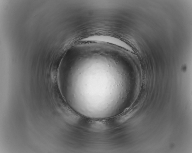 X0000090470285200707272305