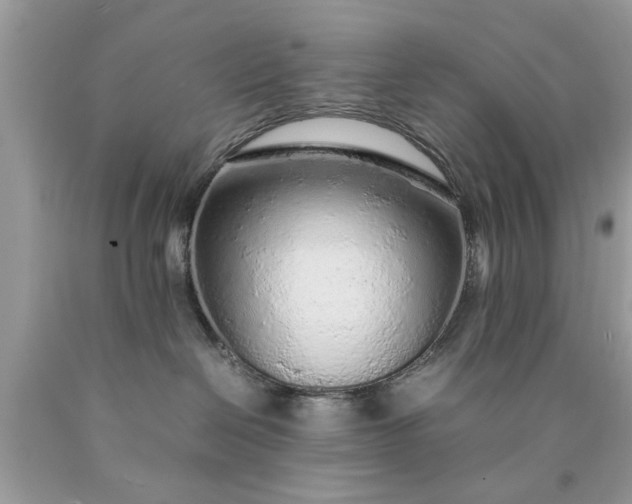 X0000090470286200707272305