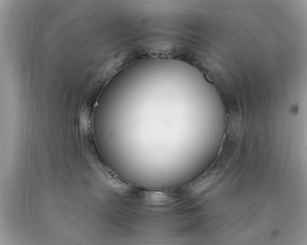 X0000090470287200707272305