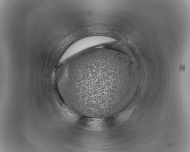 X0000090470288200707272305