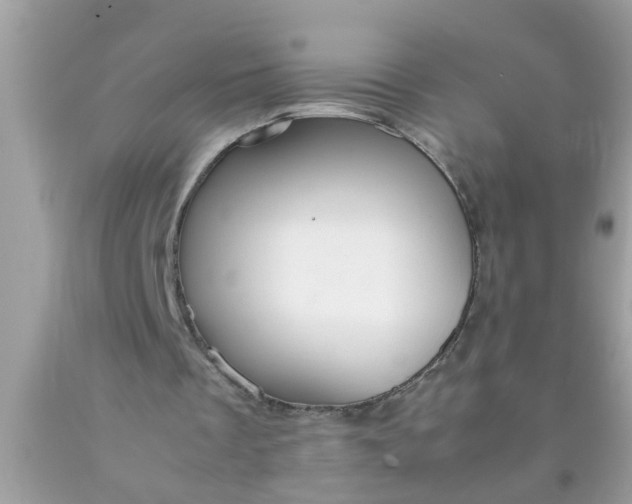 X0000090470289200707272304