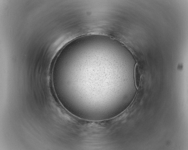 X0000090470290200707272304