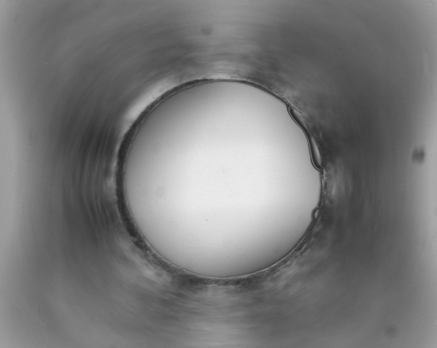 X0000090470292200707272304