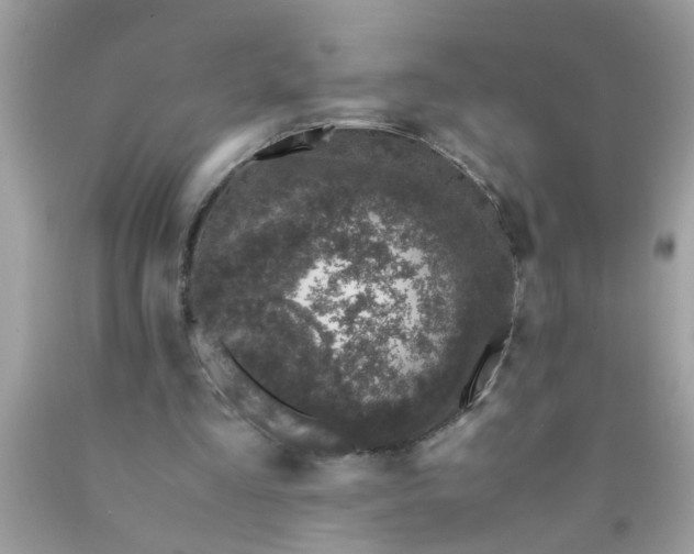 X0000090470293200707272304