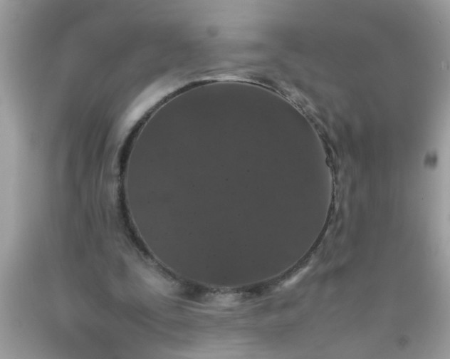 X0000090470295200707272304