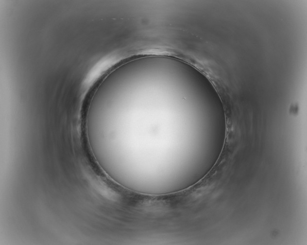 X0000090470296200707272304