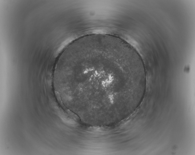 X0000090470297200707272304