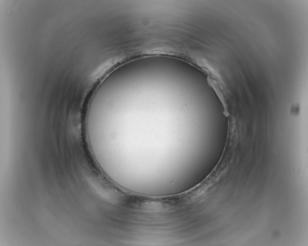 X0000090470298200707272304