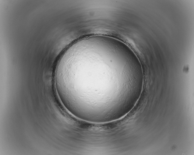 X0000090470299200707272304