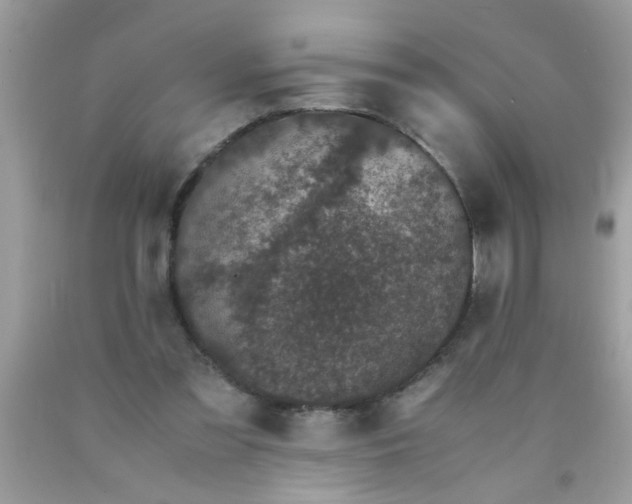 X0000090470301200707272304