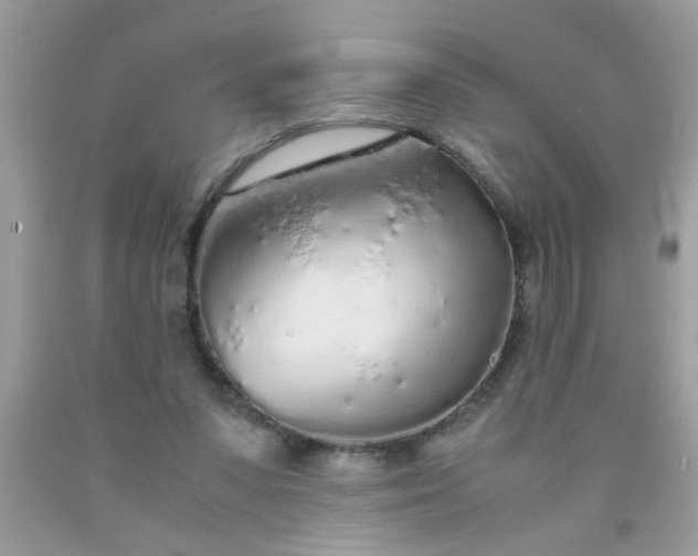 X0000090470303200707272304