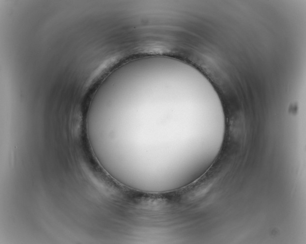 X0000090470304200707272304