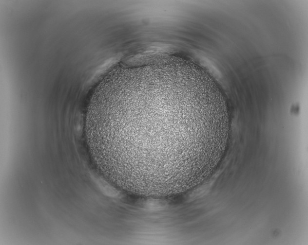 X0000090470305200707272304