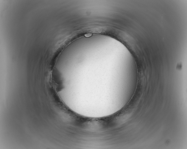 X0000090470307200707272304