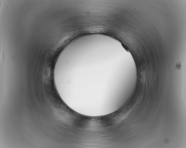 X0000090470308200707272304