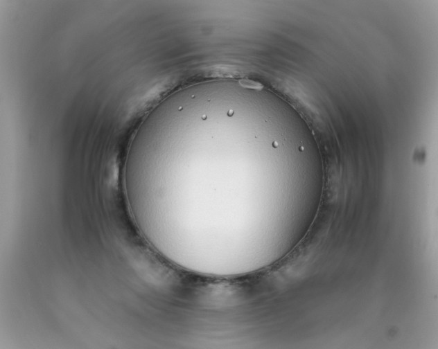 X0000090470310200707272304