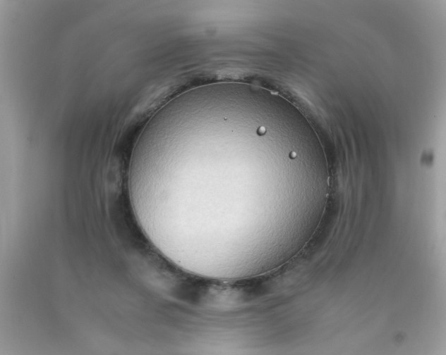 X0000090470311200707272304