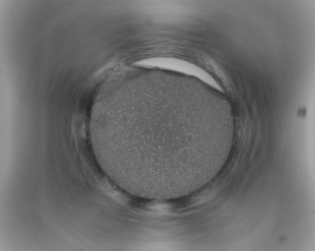 X0000090470313200707272303