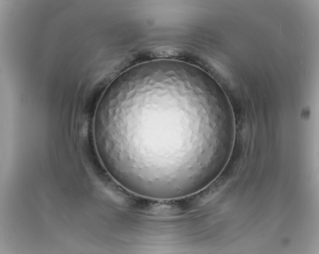 X0000090470315200707272303