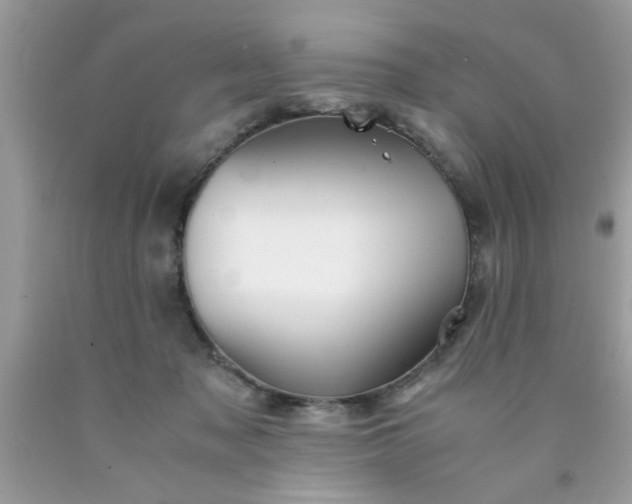 X0000090470317200707272303