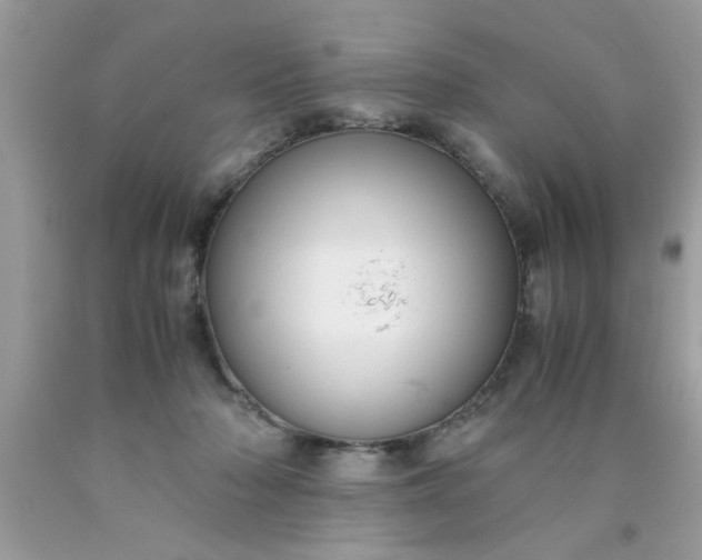 X0000090470318200707272303