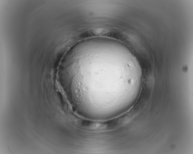 X0000090470319200707272303