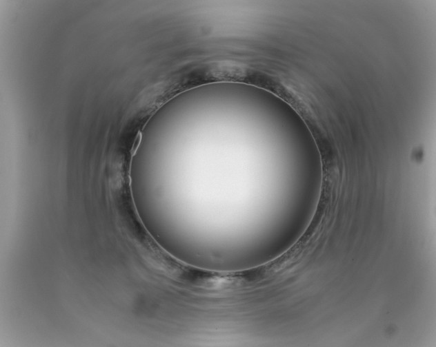 X0000090470323200707272303