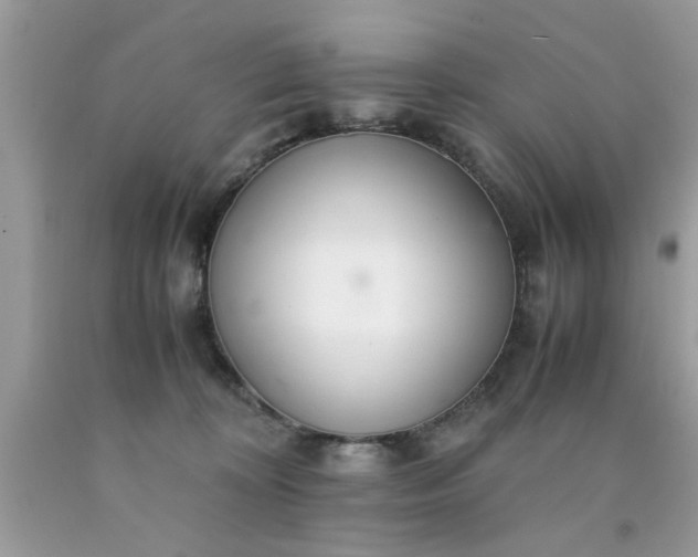 X0000090470324200707272303