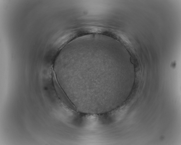 X0000090470325200707272303