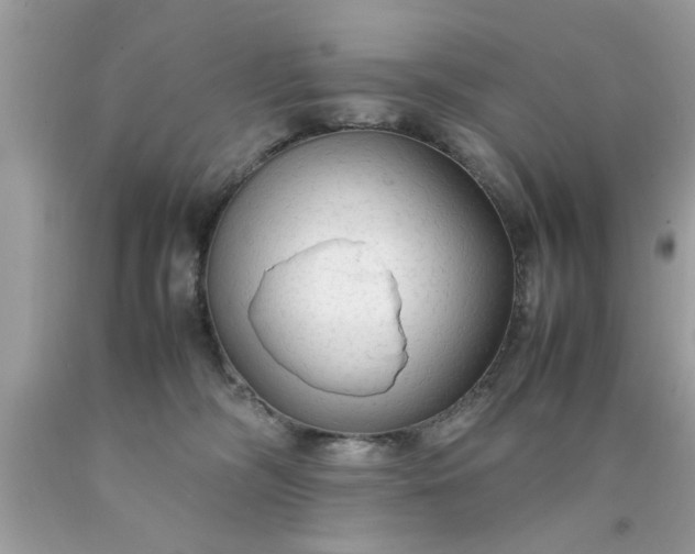 X0000090470326200707272303